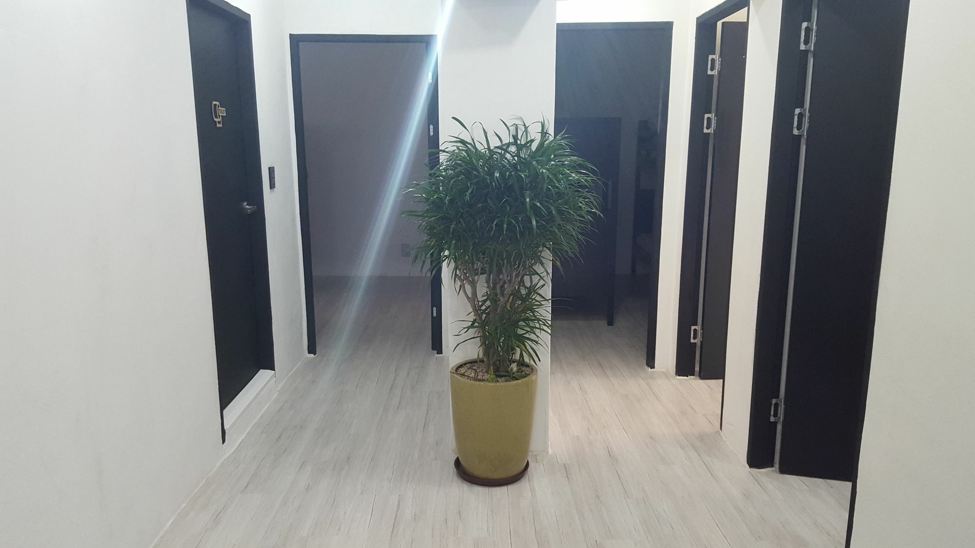 Amazon Guesthouse Seoul Ngoại thất bức ảnh