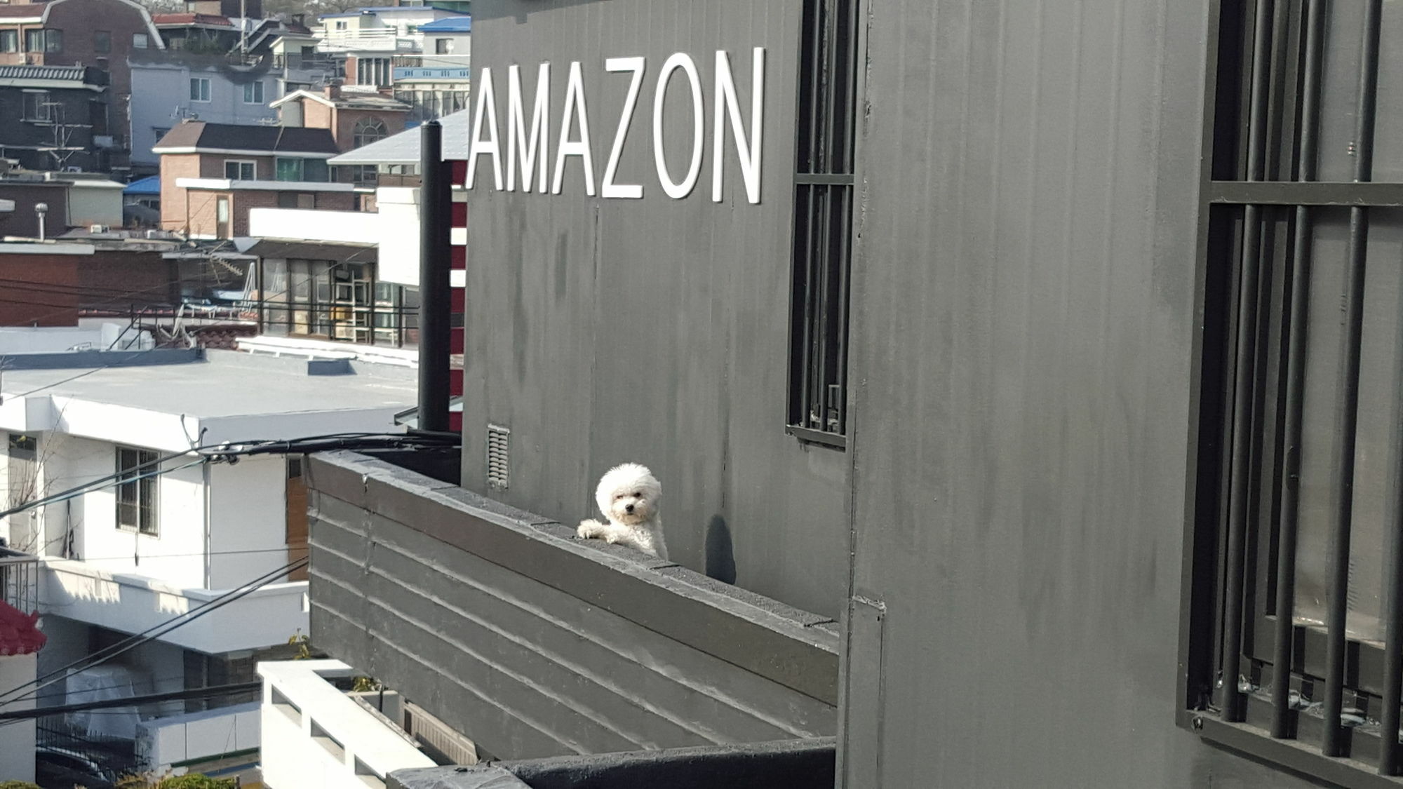 Amazon Guesthouse Seoul Ngoại thất bức ảnh